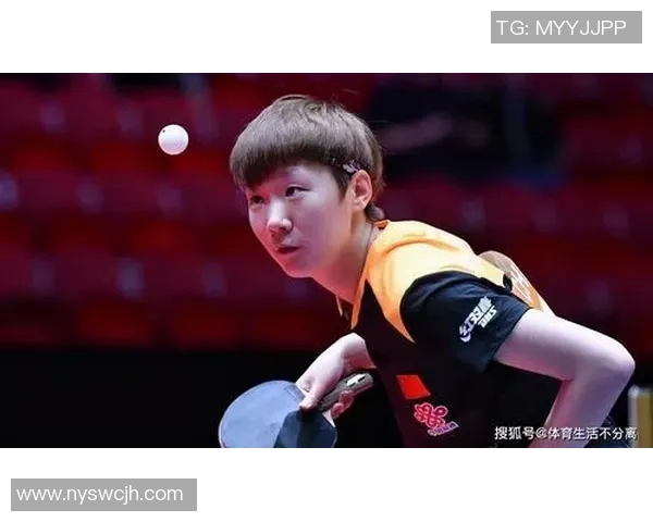 杭州乒乓球队比赛经验分享与成长之路的深度探讨与分析