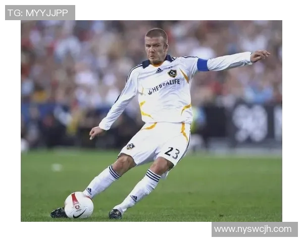 辽宁沈阳籍足球明星的辉煌历程与成就回顾